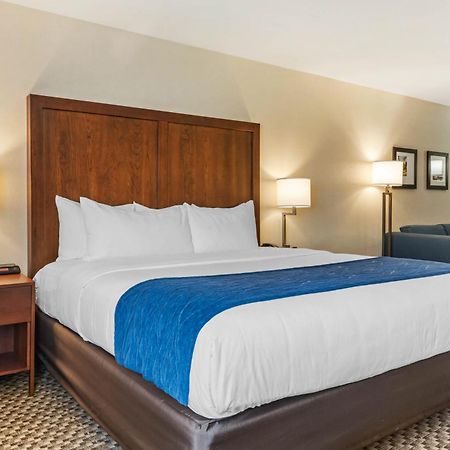 Comfort Inn & Suites Near Route 66 Lincoln Oda fotoğraf