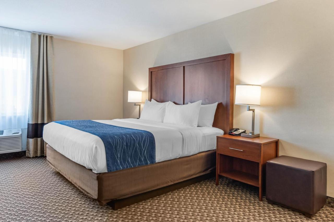Comfort Inn & Suites Near Route 66 Lincoln Oda fotoğraf